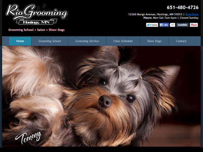 Rio Grooming School Website Rio Grooming Gets a New Doo!